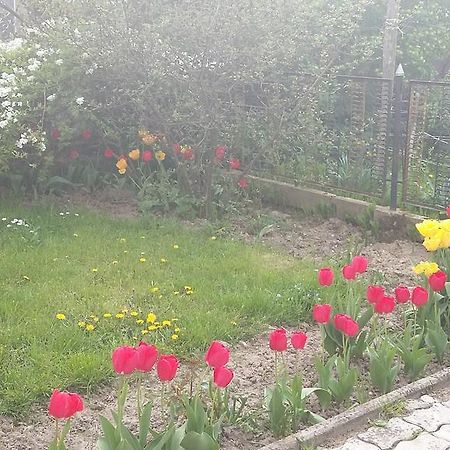 Álom Kuckó Apartman Zalaegerszeg Esterno foto