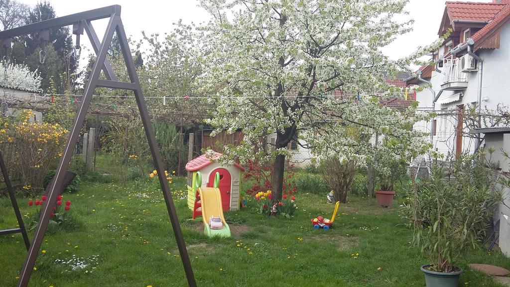 Álom Kuckó Apartman Zalaegerszeg Esterno foto