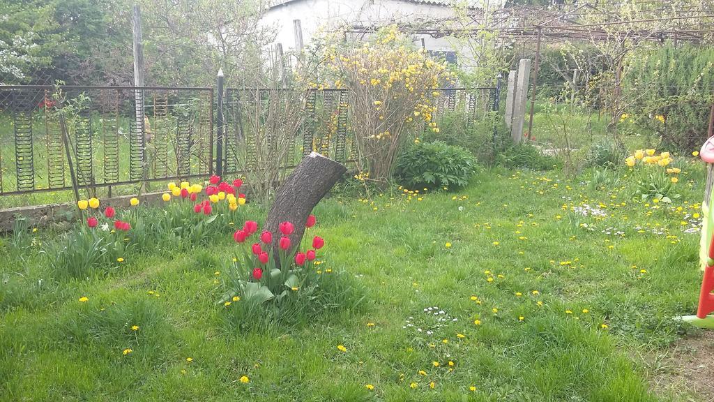Álom Kuckó Apartman Zalaegerszeg Esterno foto
