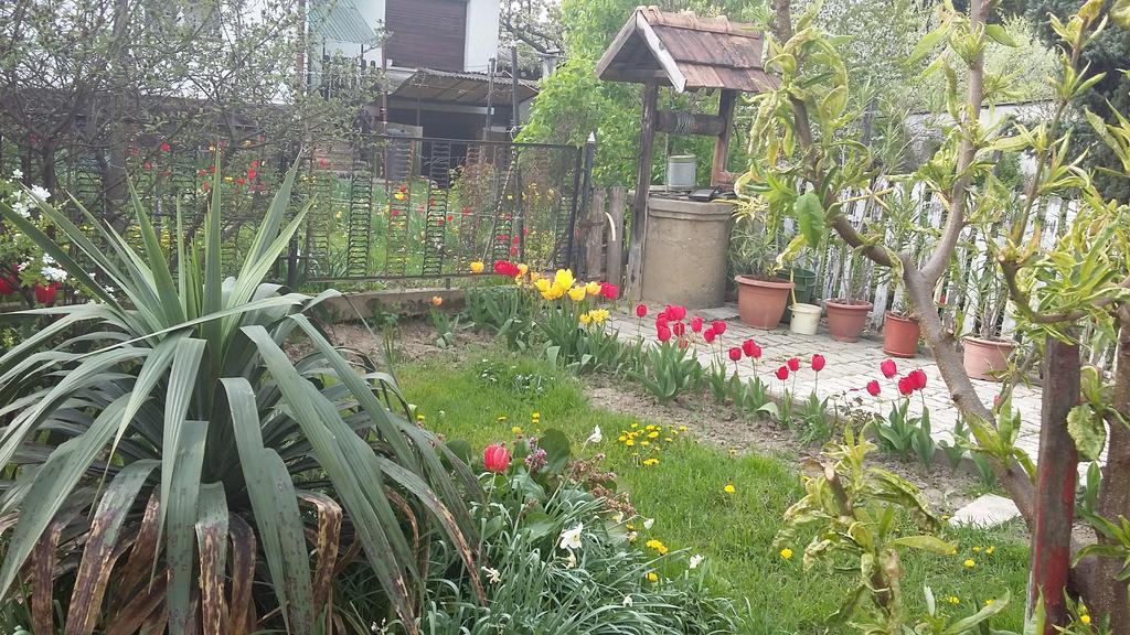 Álom Kuckó Apartman Zalaegerszeg Esterno foto